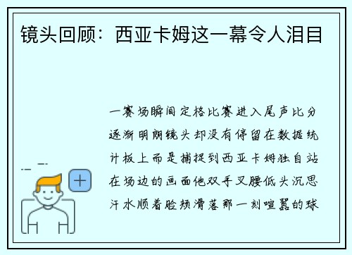 镜头回顾：西亚卡姆这一幕令人泪目